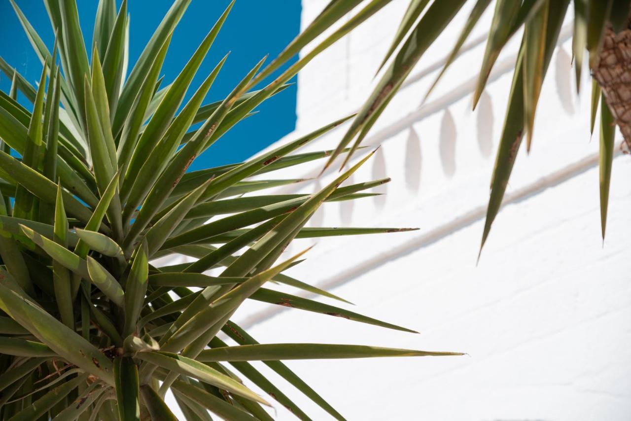 Masseria Donna Nina Ostuni Exteriér fotografie